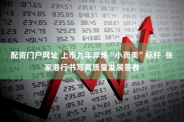 配资门户网址 上市九年淬炼“小而美”标杆  张家港行书写高质量发展答卷